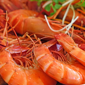 Seafood